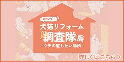 犬猫リフォーム調査隊